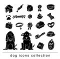 Pet icons doodle set, vector illustration. black color Royalty Free Stock Photo