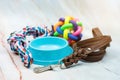 Pet leather leashes, brush and rubber toys Royalty Free Stock Photo