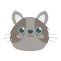 Pet little cute gray cat head cartoon isolated white background design