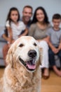 Pet in living room and family sitting on sofa Royalty Free Stock Photo