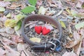 Pet loss collar with two red hearts on leaves. Royalty Free Stock Photo