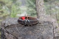 Pet loss concept of dog collar with red heart and wooden cross on tree trunk. Royalty Free Stock Photo