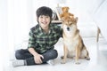 Pet lover. A boy playing with a Shiba Inu in a bedroom with white curtains Royalty Free Stock Photo