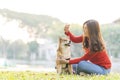 Pet lover concept. Young female and dog summer concept. The girl plays with the Shiba Inu dog in the backyard. asian women order