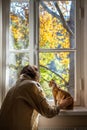 Short-haired breed cat Devon Rex and loving pet owner looking at autumn street through window