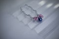 The pet necklace with blue bell and a pink bow with white stripes hanging from the top of the frame The back handle is a white-gra Royalty Free Stock Photo