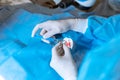 Pet ophthalmologist surgeon doing difficult operation on injured dog eye