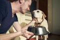 Pet owner feeding of hungry dog at home kitchen Royalty Free Stock Photo