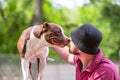 Pet owner receiving a kiss lick from his pet dog, loving affectionate bond Royalty Free Stock Photo