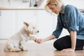 Pet owner teaching dog to give paw on sunny day at home