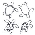 Linear icons of turtles Royalty Free Stock Photo