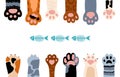 Pet paws background. Cats want fish skeleton. Different kittens foots, cartoon cat or tiger paw with claws. Animal