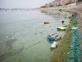 PET plastic bottles and garbage floating on the water of Dambovita lakeLacul Morii in Bucharest, Romania Royalty Free Stock Photo
