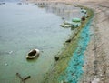 PET plastic bottles and garbage floating on the water of Dambovita lakeLacul Morii in Bucharest, Romania Royalty Free Stock Photo