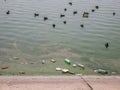 PET plastic bottles and garbage floating on the water of Dambovita lakeLacul Morii in Bucharest, Romania Royalty Free Stock Photo