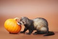 Cute ferret with pumpkin in studio on background Royalty Free Stock Photo