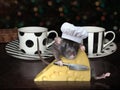 Rat in cook hat cuts cheese Royalty Free Stock Photo