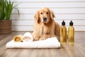 pet shampoo, towel and brush on a wooden table Royalty Free Stock Photo