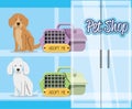 Pet shop accessories icons