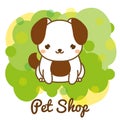 Pet shop banner with cute puppy. Little dog sitting advertisement for animals store