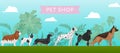 Pet shop banner with different dogs breeds, petshop service and food vector illustration.