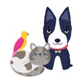 Pet shop, black dog cat and bird animals domestic cartoon Royalty Free Stock Photo