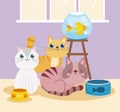 pet shop with cats fish canned food and bowl Royalty Free Stock Photo