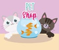 pet shop cats with fish in glass bowl cartoon