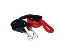 Pet shop concept. Pet leashes for dog on isolated white