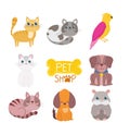 Pet shop, cute animals cat dog bird rodent veterinary clinic food Royalty Free Stock Photo