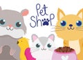Pet shop, cute animals hamster cats and bird veterinary clinic food