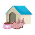 Pet shop, cute cat sitting with house and food bowl animal domestic cartoon