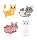 Pet shop, cute cats adorable animal domestic cartoon