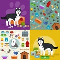 Pet shop, dog goods and supplies, store products for care