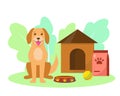 Pet shop or dog hotel concept