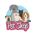 Pet shop group of domestics animals Royalty Free Stock Photo