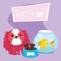 Pet shop, haired little dog fish and bones food animal domestic cartoon