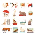 Pet Shop Icons Set