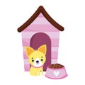 Pet shop, little puppy house and bowl with food animal domestic cartoon