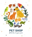 Pet Shop Round Composition