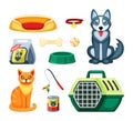 Pet shop set. Assortment for cat and dog, toy, white ball, rubber bone, canned and dry food with a plastic green feeder