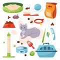 Pet shop set with different goods for cats. Food and toy