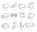 Pet shop, set types of pets