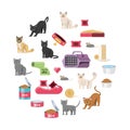 Pet shop veterinary elements