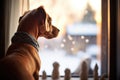 pet silhouette in warm lit snowy window