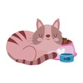 Pet sleeping cat with bowl food and fish isolated white background design Royalty Free Stock Photo