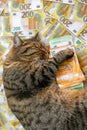 Pet spending in EU countries. cost of veterinary services for pets. Sleeping Striped cat with a pack of euros on