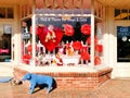 A pet store display window