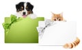 Pet store gift card, puppy dog and kitten cat together isolated on white background, for promotional discounts and wishes a Merry