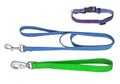 Pet supplies about collars with leash.